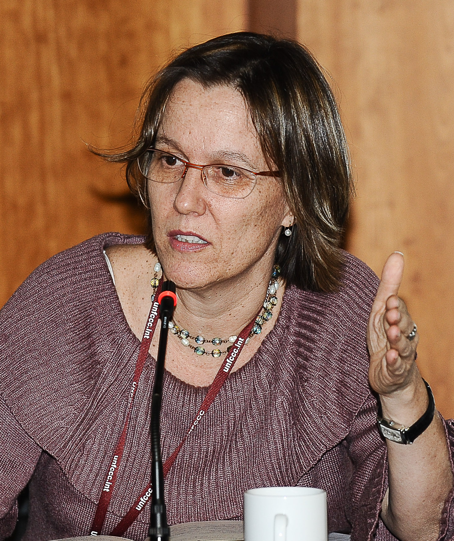 Photo courtesy of IISD/ENB