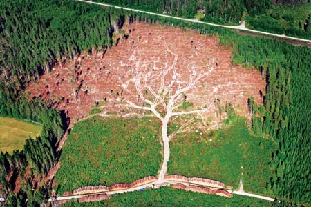 lw_01 This pattern was created by logging tracks in Sweden!