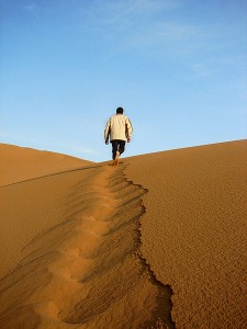 450px-Desert_Leader
