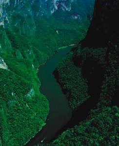 Imagen 13 Cañon del Sumidero, Chiapas, México / Fotografía: visitingmexico.com.mx