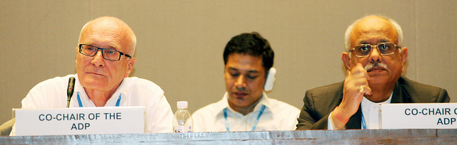 The previous co-chairs of the climate talks made clear their frustrations as they finished their mandates.