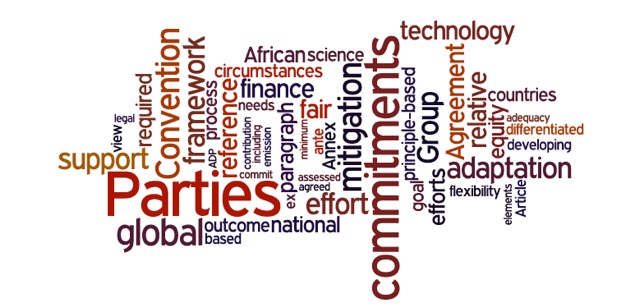 The African Group is keen on seeing a balance between the different issues addressed by the convention and the respect of its principle.