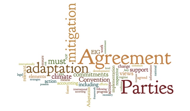 The Environmental Integrity Group wants an ambitious instrument in 2015 with legally binding commitments for all UNFCCC.