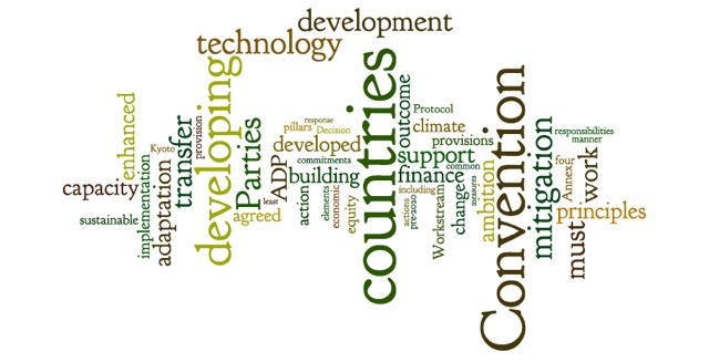 The Like Minded Countries emphasize that they expect developed countries (as defined in the 1992 annex) to take the lead in mitigating climate change.